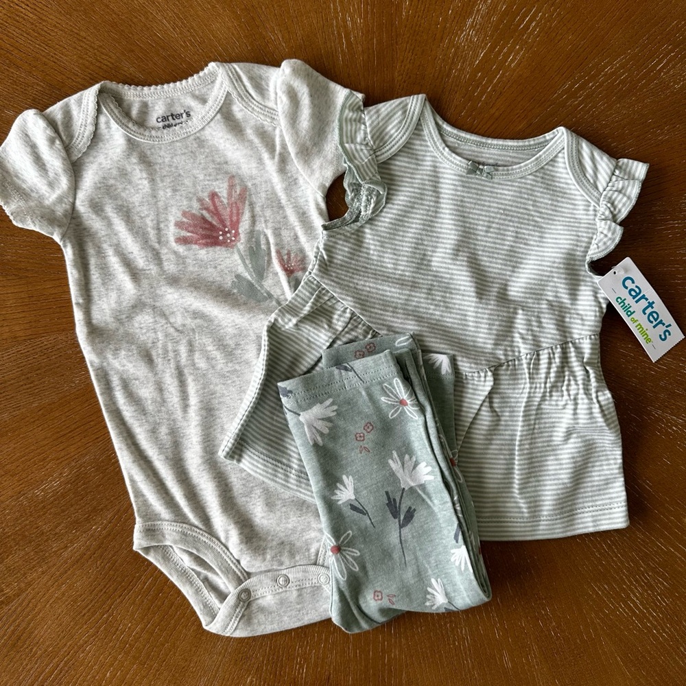 Carter's Floral Onesie and Striped shirt Set